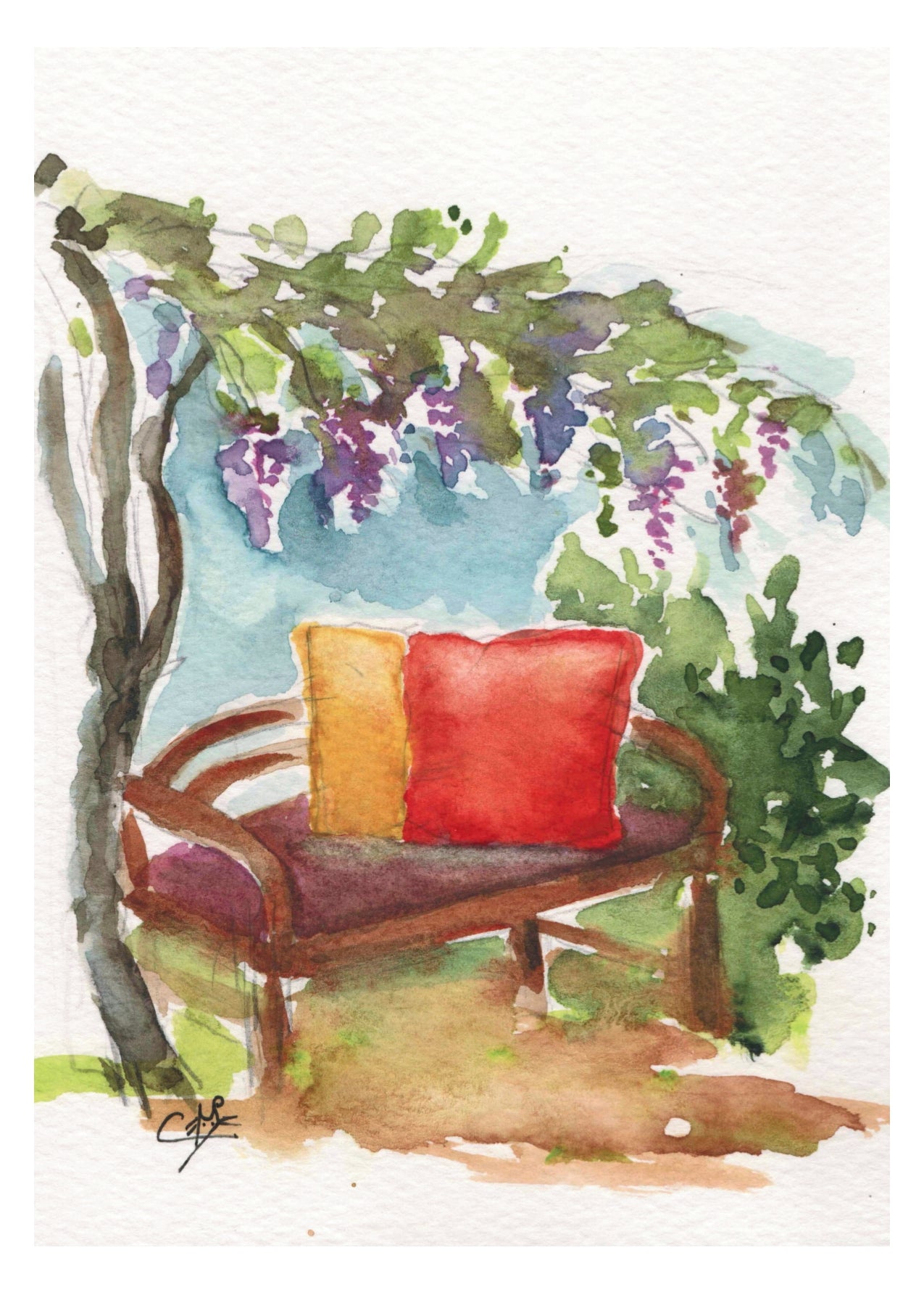 Carte Postale "Le banc sous les glycines"
