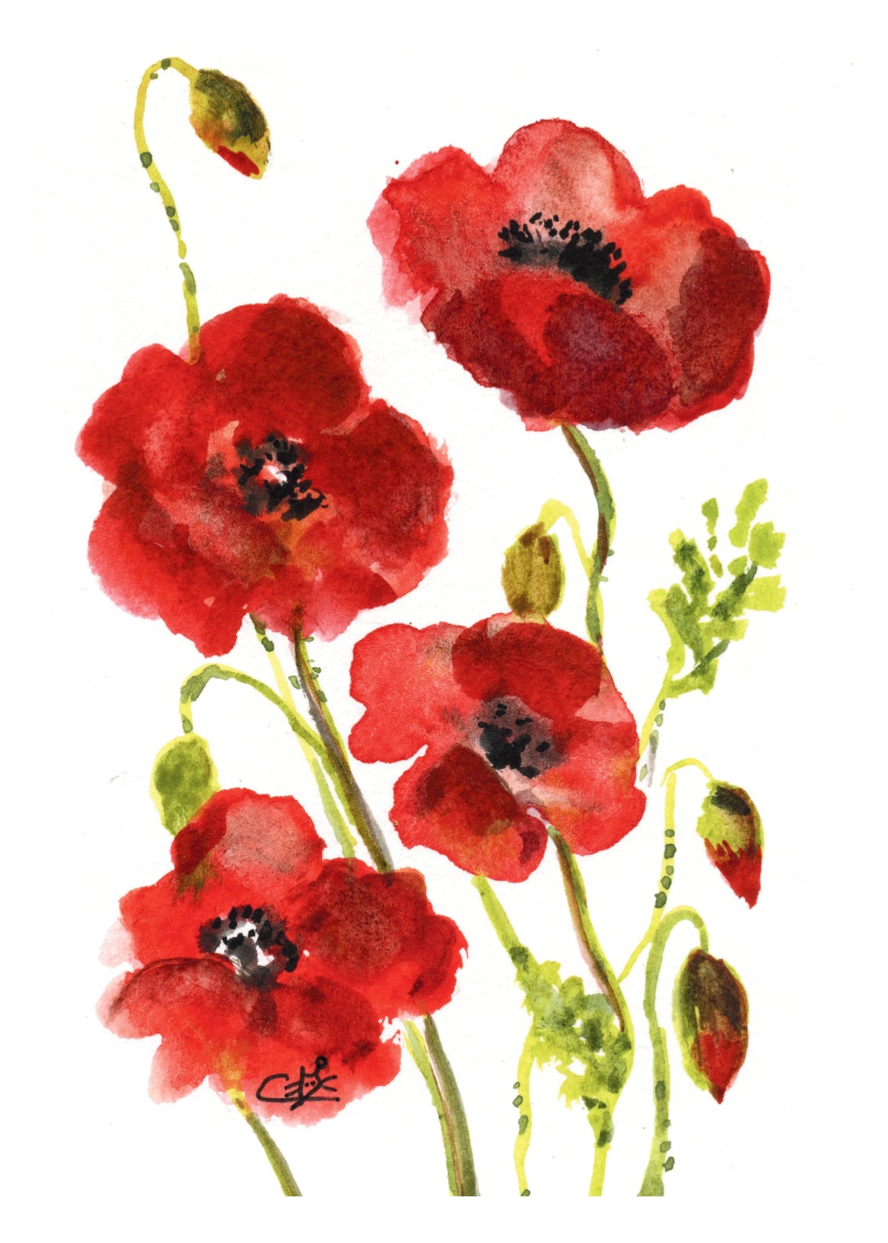 Carte Postale "Les coquelicots"