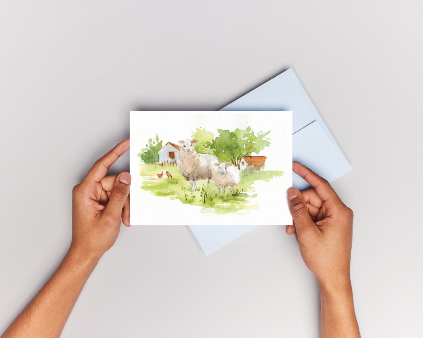 Carte Postale "Les moutons"